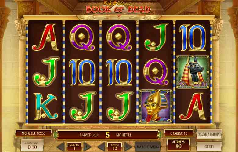 free slot book of dead mostbet