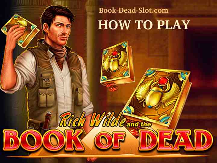 how to play book of dead for money